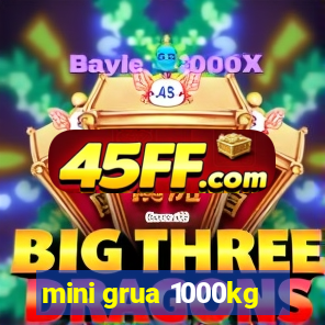 mini grua 1000kg